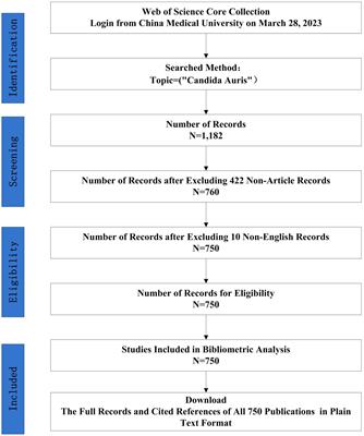 Global characteristics and trends in research on Candida auris